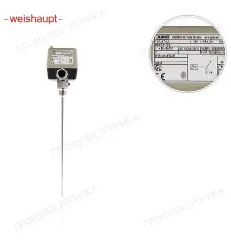 690247 ATH-2 50-250ºC 280 mm, V4A алюминий крышка, регулятор термостат
