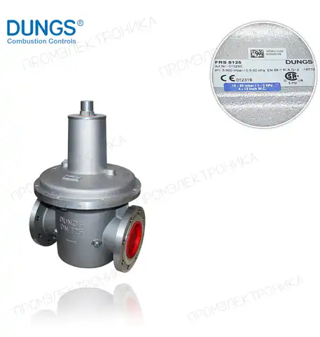 FRS 5125 DN125 максимум 500mbar