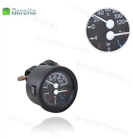 R7239 D52 0-120ºC / 0-4bar
