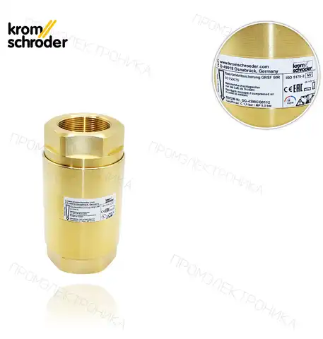 GRSF 50R DE NO обратный газа с пламегаситель 03150676