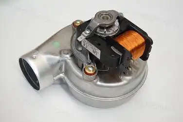 569431