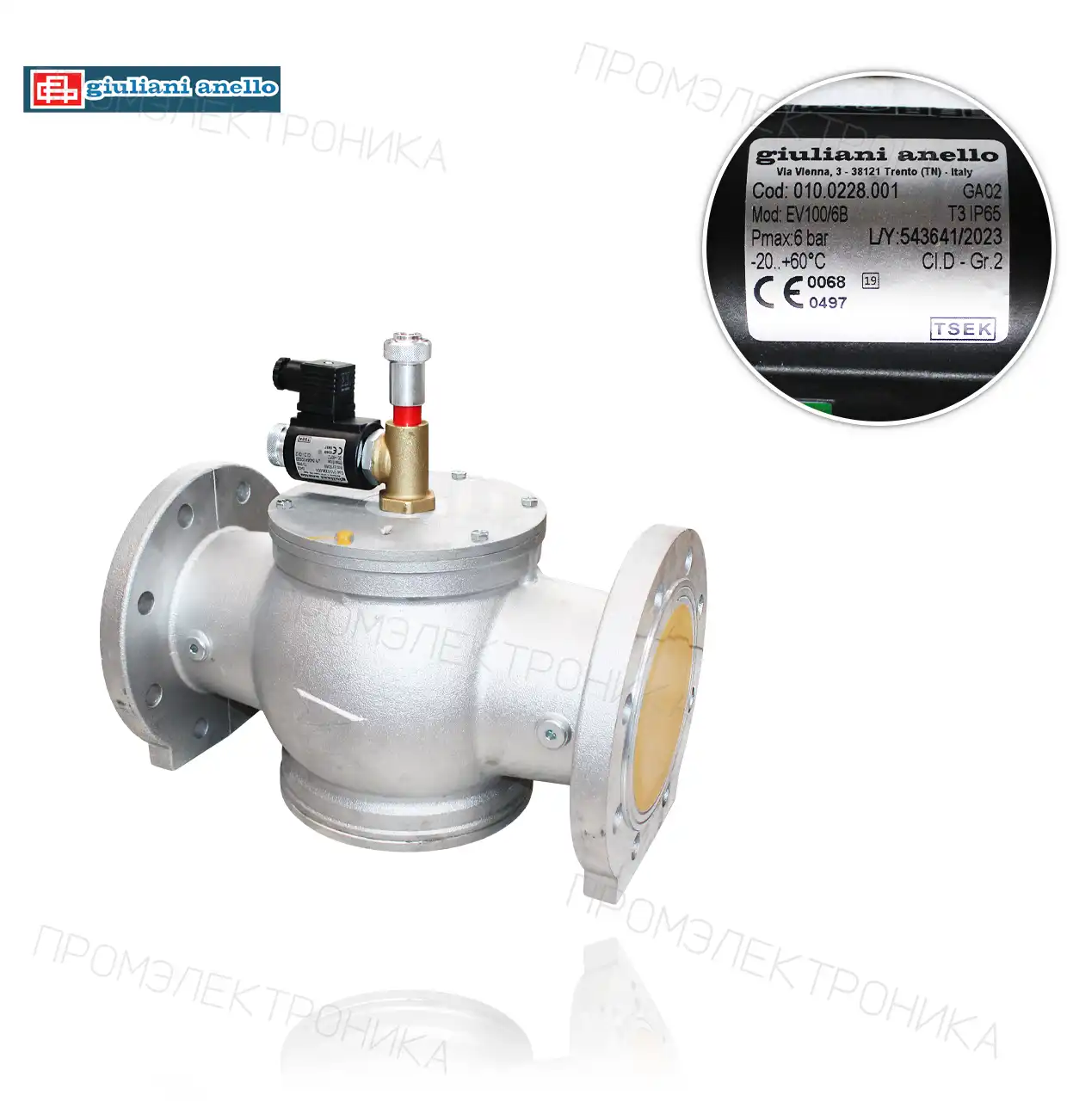 EV100/6B DN100 P.max: 6bar NC 230Vac 50-60Hz IP65