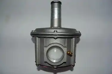 FSDR 40/CE 1"1/2 14-30mbar с 500mbar фильтр